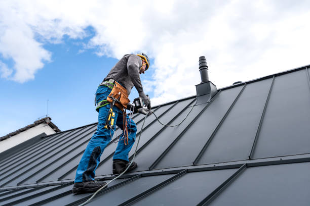 Best Gutter Installation and Repair  in South Alamo, TX